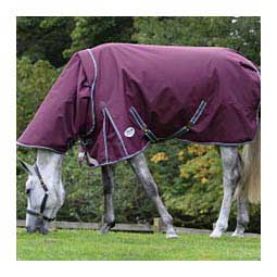 Comfitec Plus Dynamic II Medium Detach-A-Neck Turnout Horse Blanket Weatherbeeta